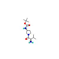 氨基_氨基甲酸叔丁酯(CAS 1401666-84-9)报价,「Fluorochem」R66566320-500mg
