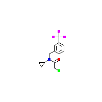 苄基_乙酰胺(C13H13ClF3NO),CAS 1353963-68-4,「Fluorochem」C66568399-500mg