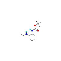 （2-乙基氨基-环己基）-氨基甲酸叔丁酯,CAS 1353979-25-5,「Fluorochem」E66569214-1g