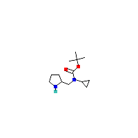 环丙基_乙酸(C13H24N2O2),CAS 1353989-58-8,「Fluorochem」C66569350-1g