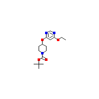 乙氧基嘧啶-甲酸叔丁酯(C16H25N3O4),CAS 1353972-77-6,「Fluorochem」T66569744-500mg