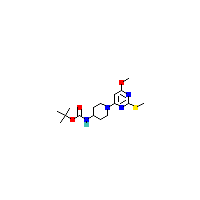 哌啶_氨基甲酸叔丁酯(CAS 1353946-56-1)报价,「Fluorochem」T66570025-500mg