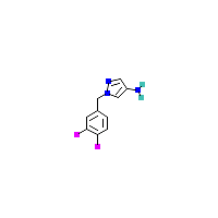 1-[（3,4-二氟苯基）甲基]-1H-吡唑-4-胺,CAS 1174666-15-9,「安耐吉」D67024090-5g