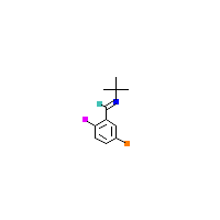 氟苯基_胺(C11H13BrFN),CAS 1355250-66-6,「源叶」E70699711-100mg
