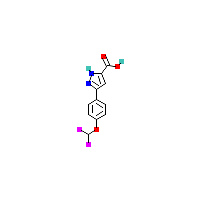 二氟甲氧基-羧酸(C11H8F2N2O3),CAS 1046468-64-7,「Fluorochem」D7147573-1g