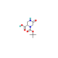 1-（叔丁氧羰基）-5-氧哌嗪-2-羧酸,CAS 1246553-28-5,「Fluorochem」T71607253-1g
