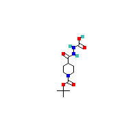 叔丁氧_肼羧酸(C12H21N3O5),CAS 1417355-45-3,「Fluorochem」T71668938-5g
