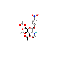 4-硝基苯基2-（乙酰氨基）-2-脱氧-,CAS 135266-95-4,「源叶」N71751072-100mg