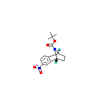 6-硝基-（1S_4R）-1,2,3,4-四氢-1,4-异氮杂-萘-9-羧酸叔丁酯,CAS 942492-09-3,「源叶」N73014192-250mg