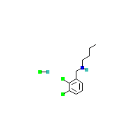 丁基[（2,3-二氯苯基）甲基]胺盐酸盐,CAS 1240578-71-5,「Fluorochem」B75357724-2g