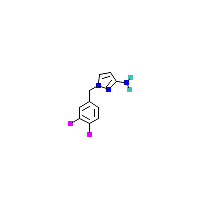 甲基_胺(C10H9F2N3),CAS 1240569-82-7,「Fluorochem」D75357816-5g
