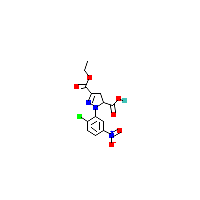 硝基苯基-羧酸(C13H12ClN3O6),CAS 1264044-32-7,「Fluorochem」C75358010-1g