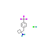 1-[4-（三氟甲基）苄基]环丁胺盐酸盐,CAS 1439900-16-9,「Fluorochem」T86277075-1g