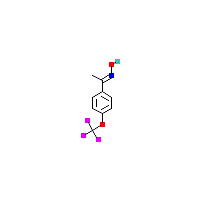 1-[4-（三氟甲氧基）苯基]-乙酮_肟_（1E）-制备(C9H8F3NO2),CAS 1265612-59-6报价,「Alfa」E90059573-1g