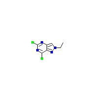 二氯_嘧啶(C7H6Cl2N4),CAS 1823331-38-9,「Fluorochem」D91663870-5g