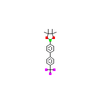 4'-（三氟甲基）-4-联苯硼酸频那醇酯,CAS 1381958-89-9,「Fluorochem」T91670315-1g