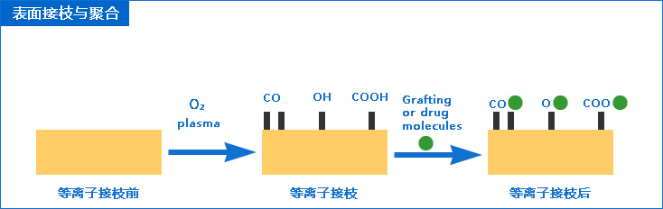 1L等离子清洗机13.56MHz