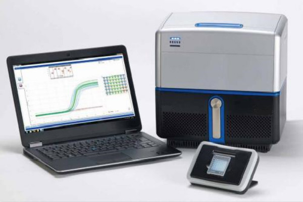 荧光定量PCR与普通PCR的区分