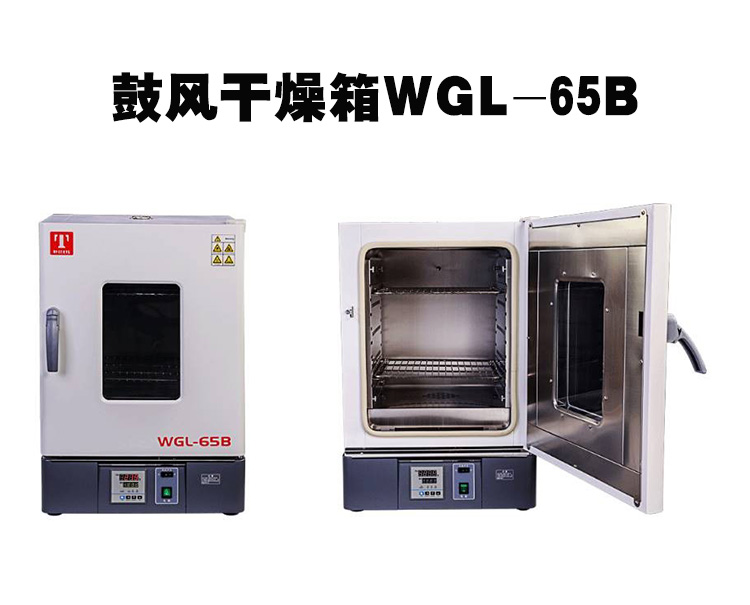 鼓风干燥箱WGL-65B