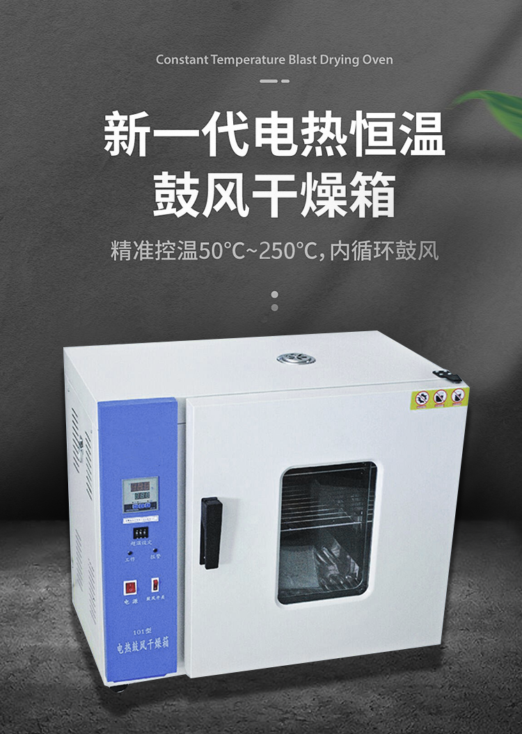 电热恒温鼓风干燥箱